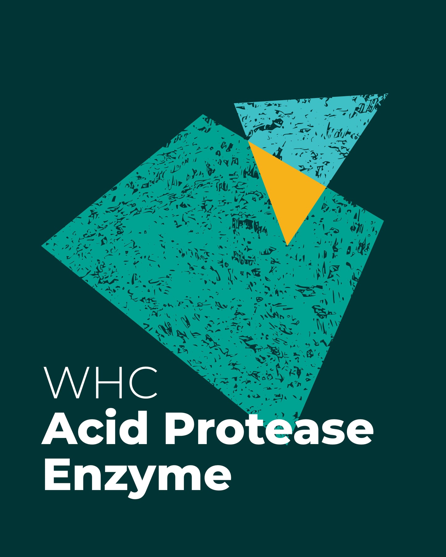 Acid Protease