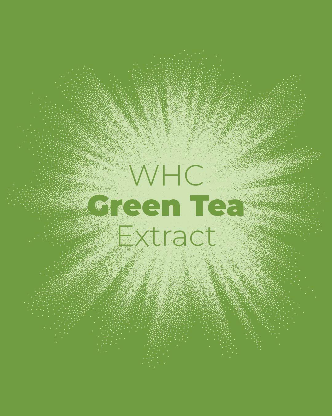 Green Tea Extract