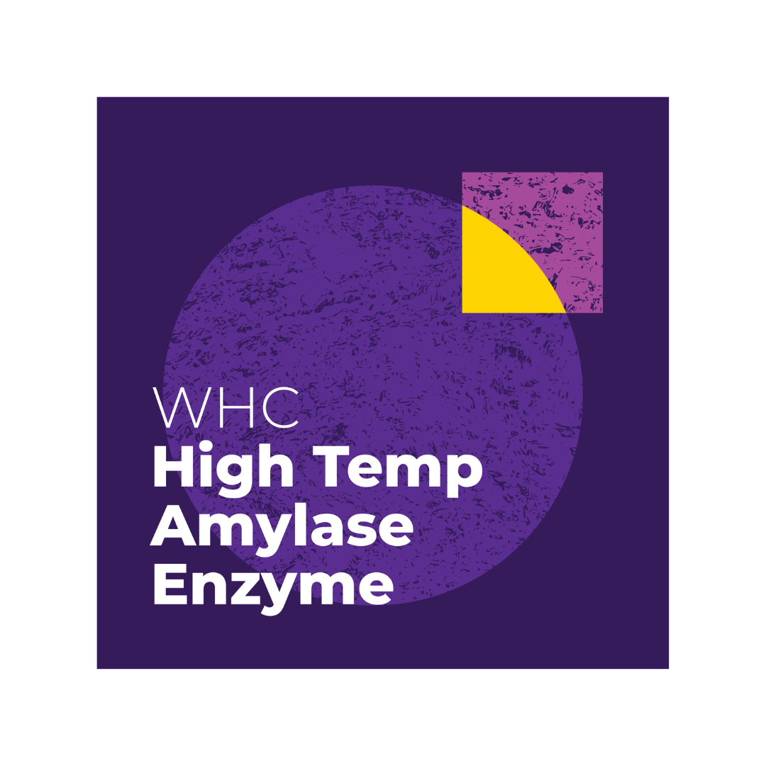 High Temp Amylase