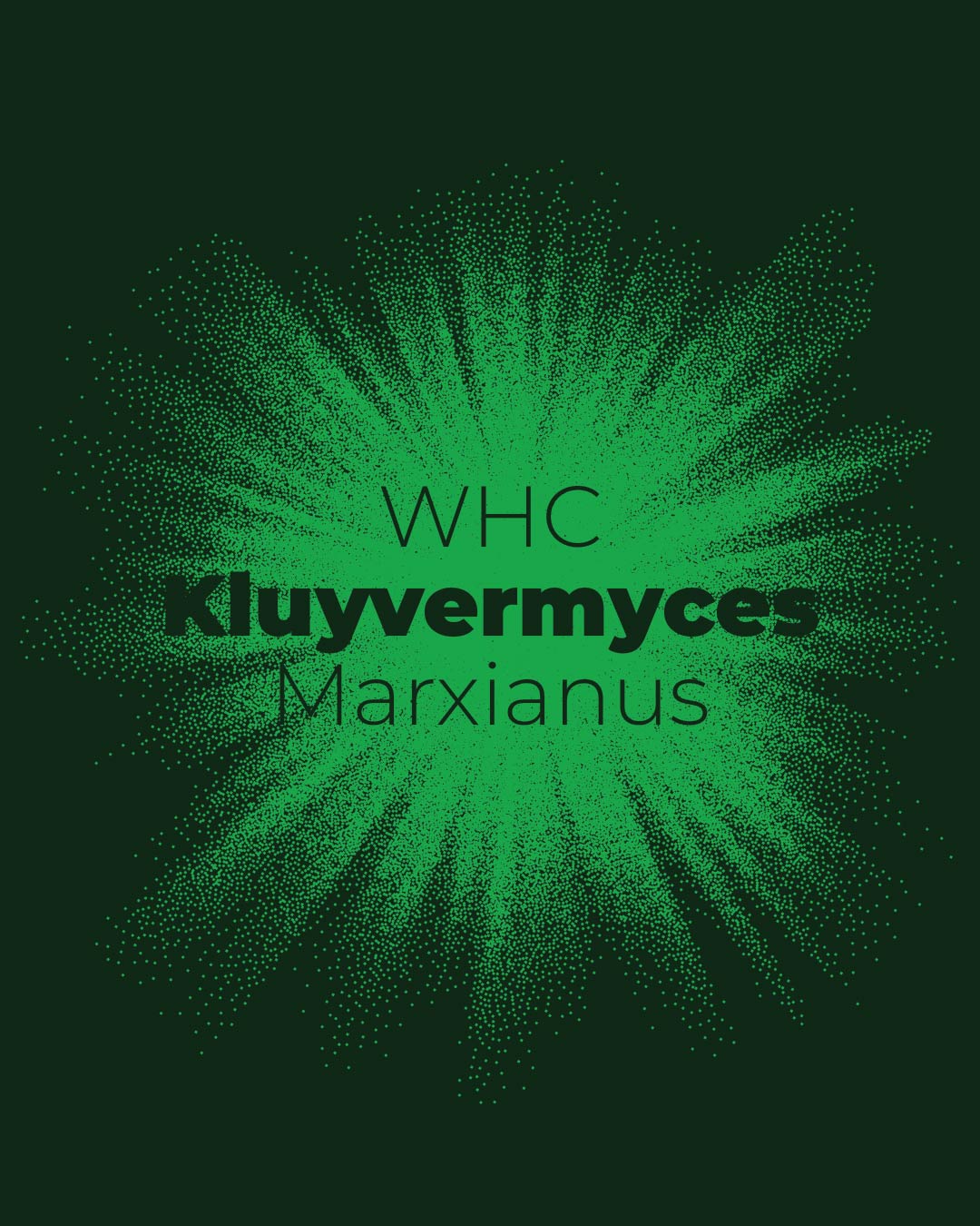 Kluyvermyces Marxianus