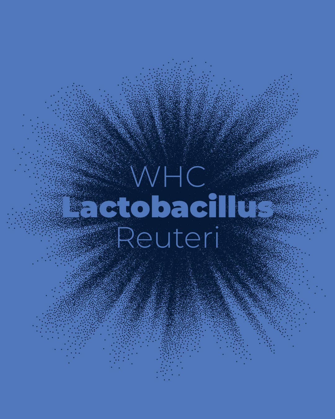 Lactobacillus Reuteri