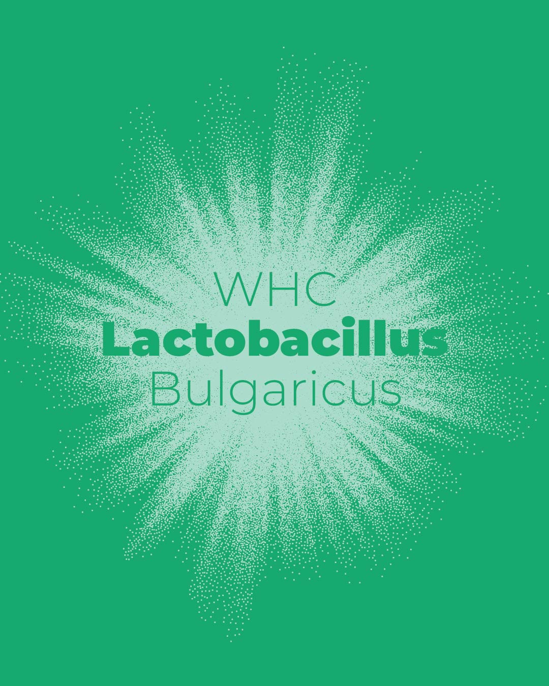 Lactobacillus Bulgaricus