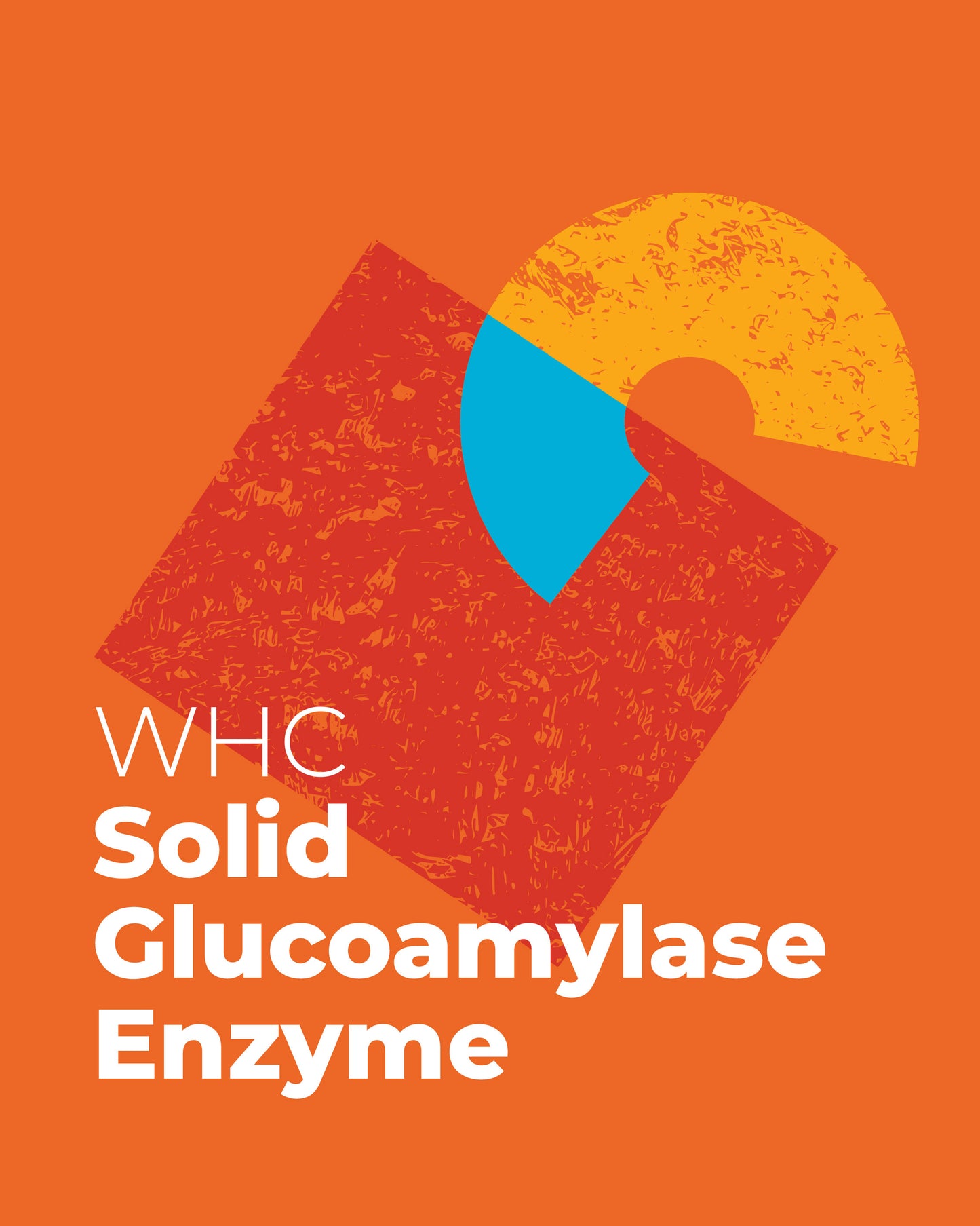 Solid Glucoamylase
