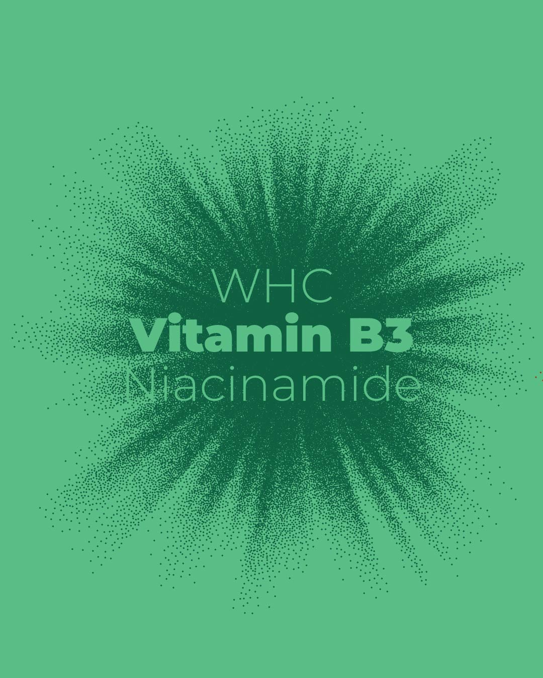 Vitamin B3 (Niacinamide)