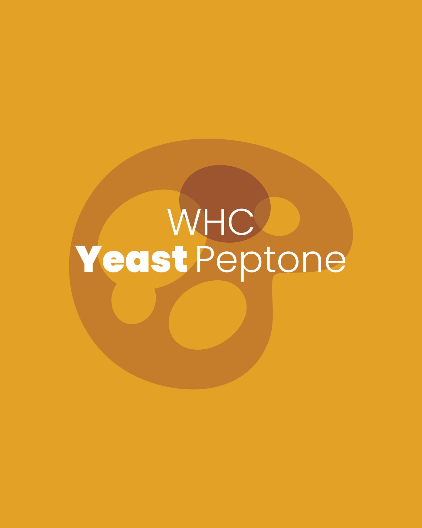 Yeast Peptone