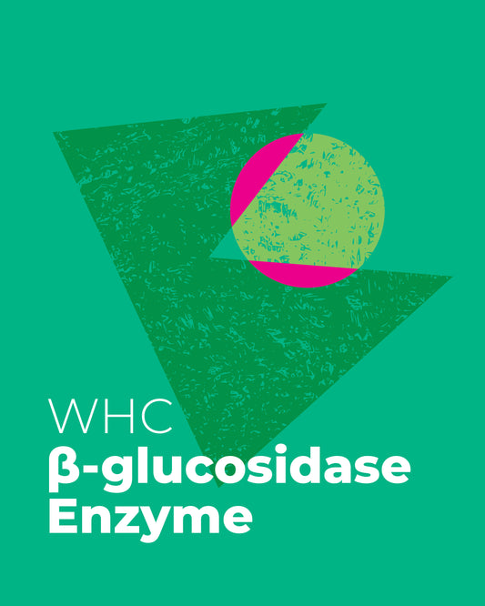 β-glucosidase