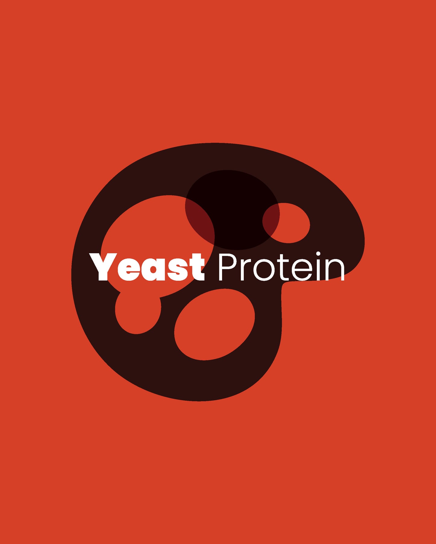 WHC Lab Yeast Protein