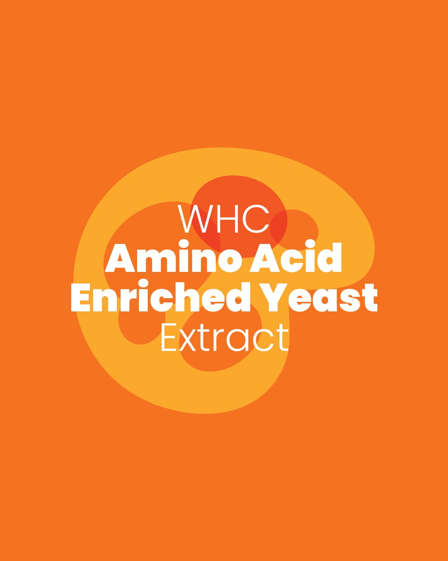 Amino Acid Enriched Yeast Extract