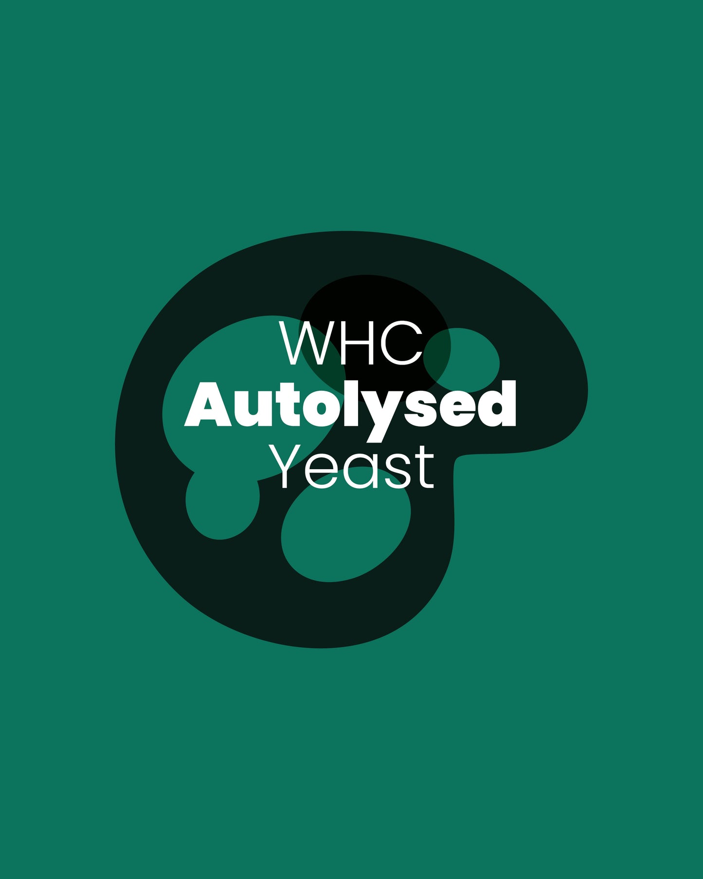 Autolyzed Yeast