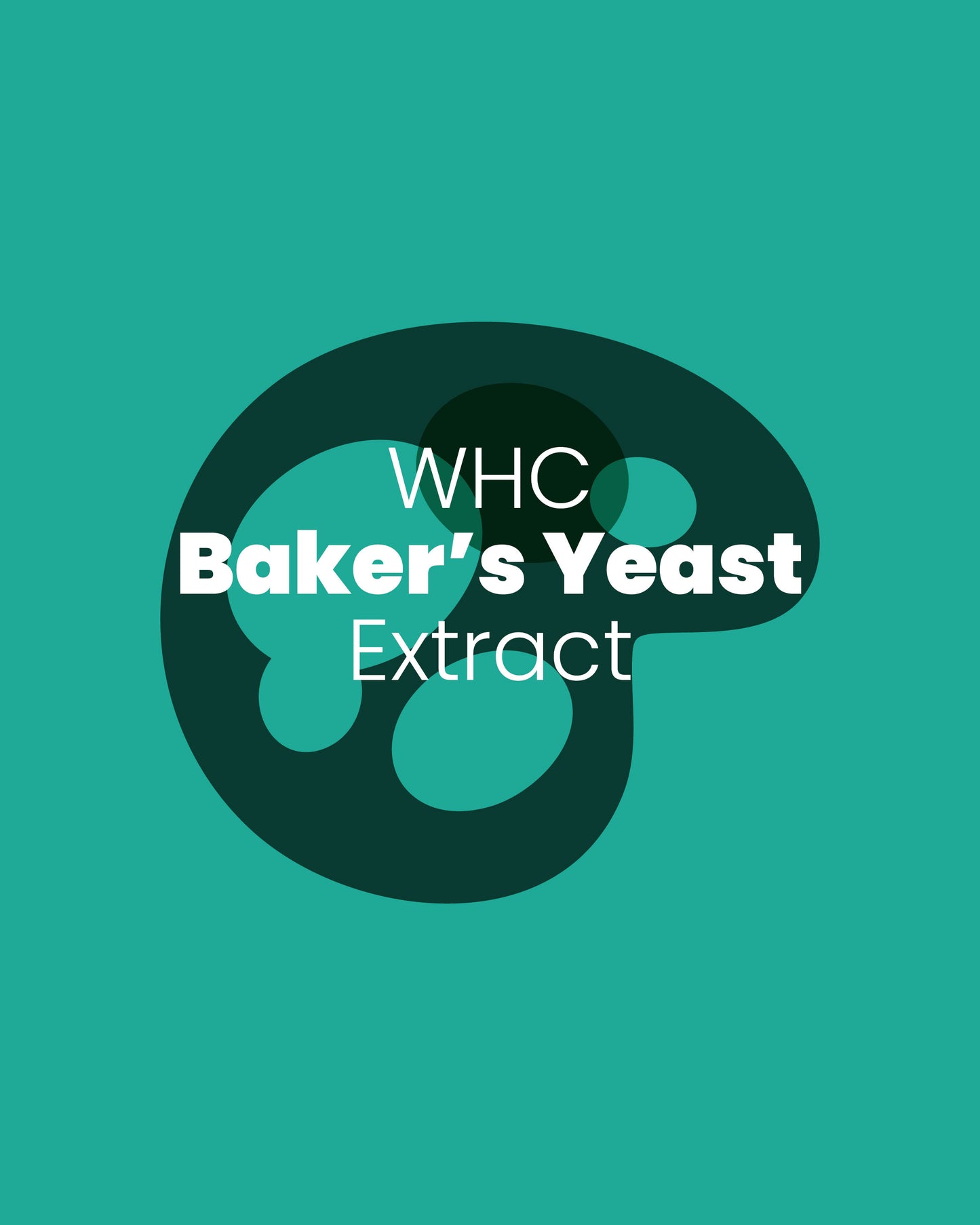 Bakers Yeast Extract