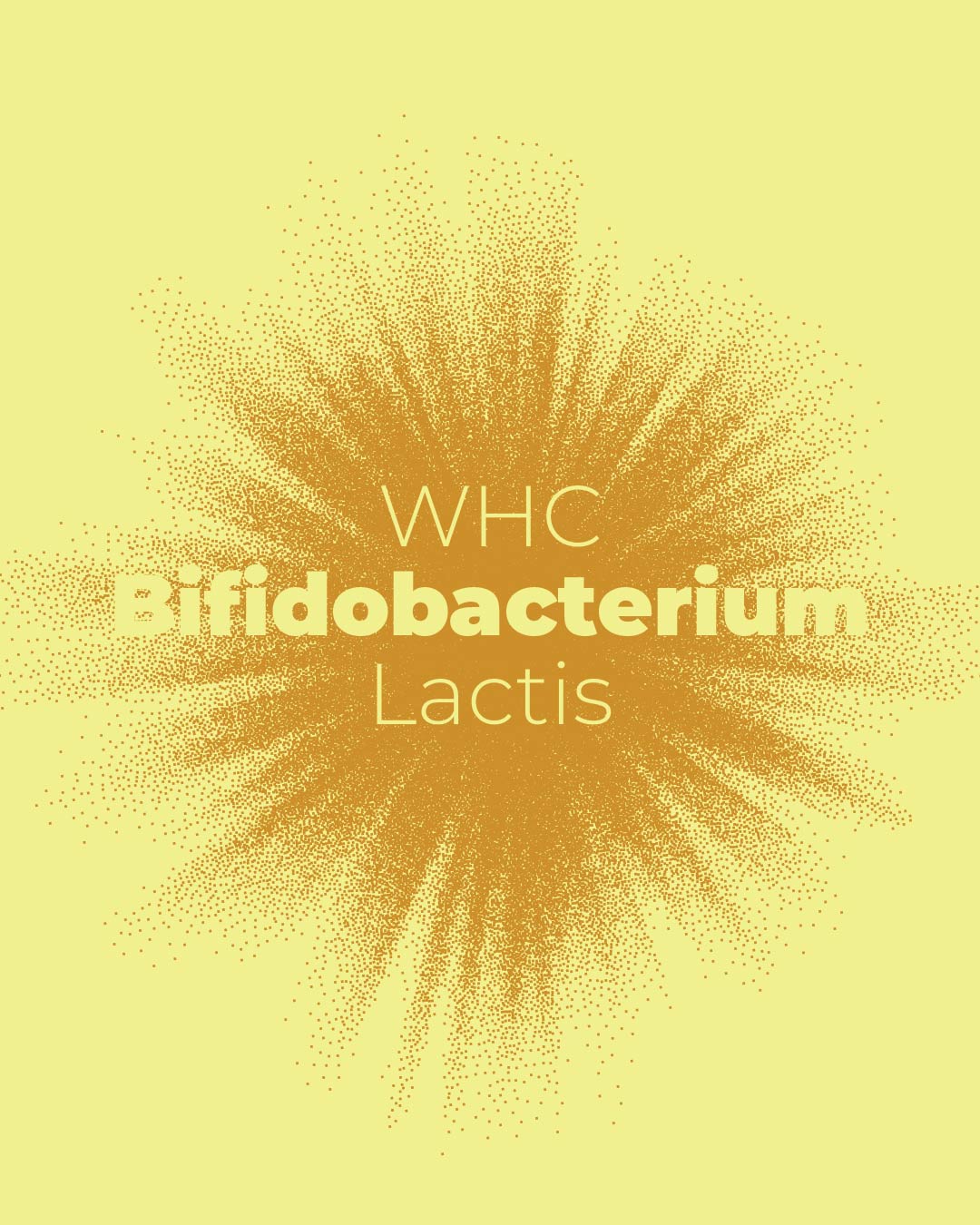 Bifidobacterium Lactis