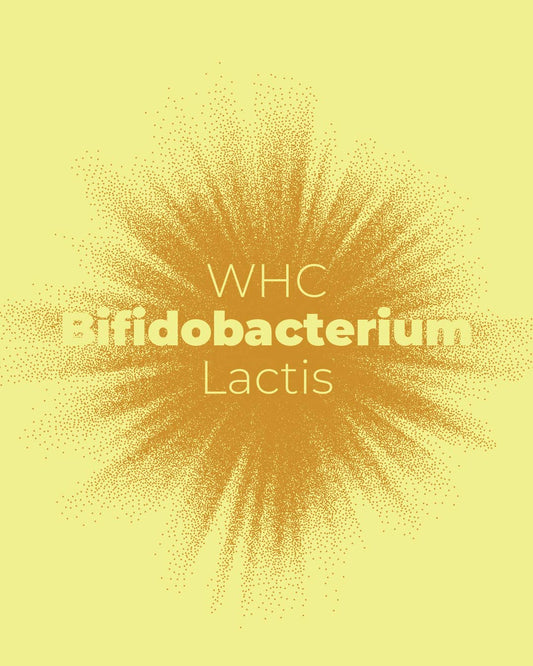 Bifidobacterium Lactis