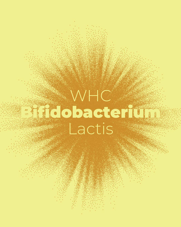 Bifidobacterium Lactis