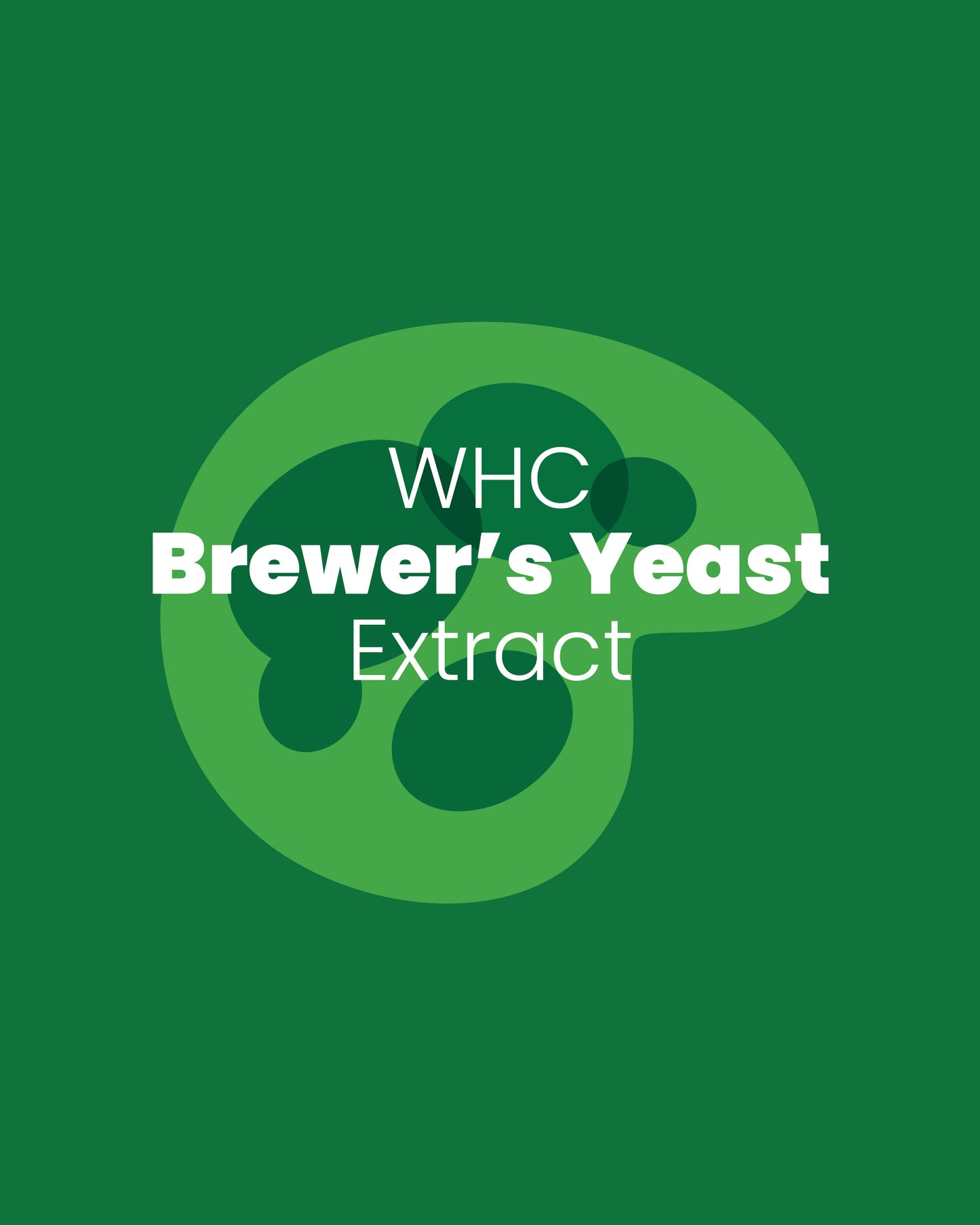Brewers Yeast Extract