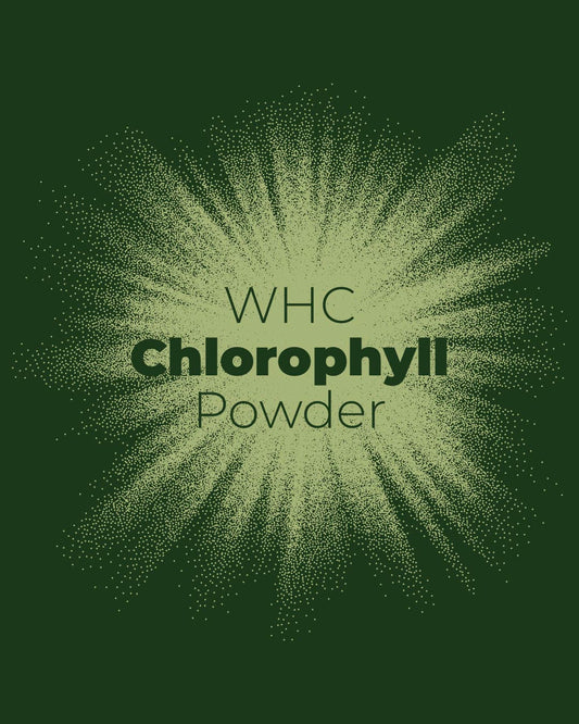 Chlorophyll Powder
