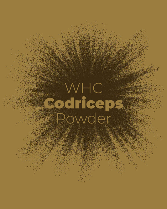 Codriceps Extract