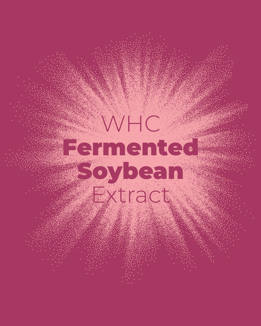 Fermented Soybean Extract