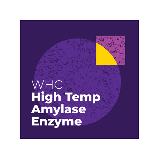 High Temp Amylase