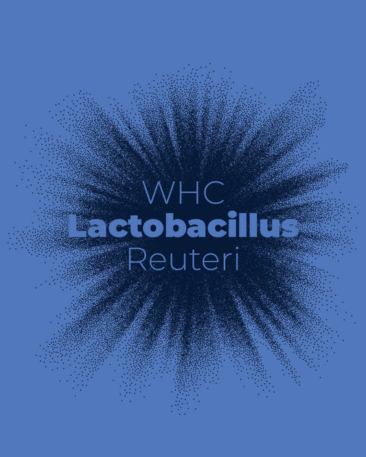 Lactobacillus Reuteri