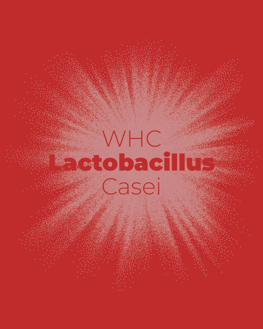 Lactobacillus Casei