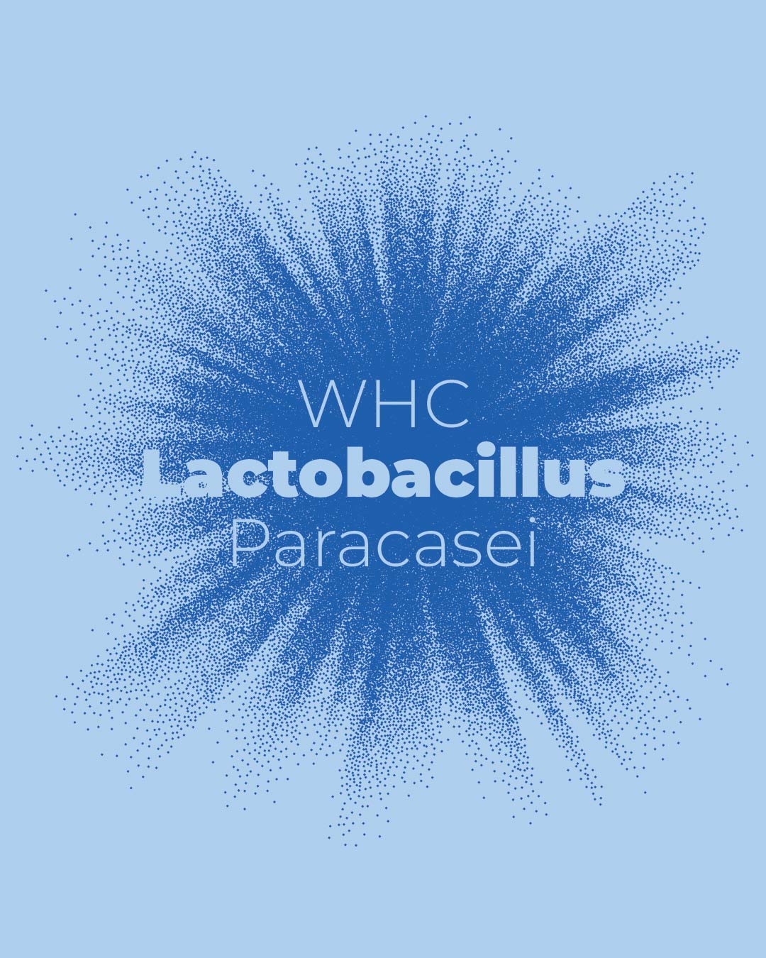 Lactobacillus Paracasei