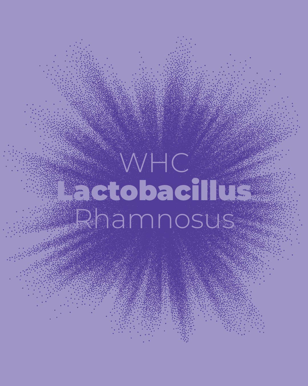 Lactobacillus Rhamnosus