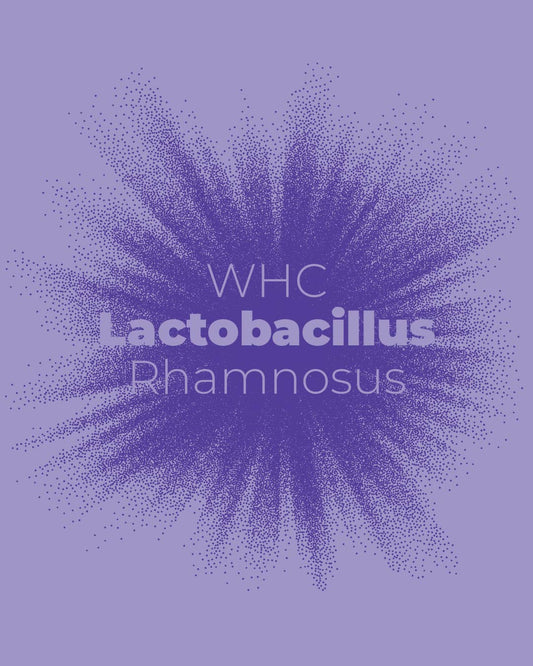 Lactobacillus Rhamnosus