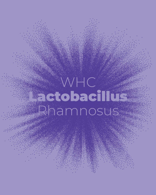 Lactobacillus Rhamnosus