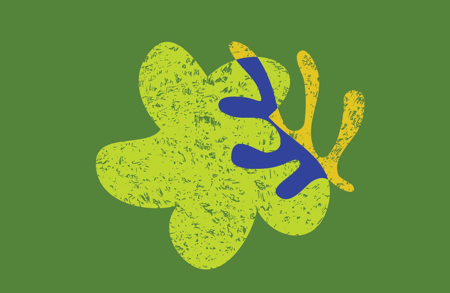 Pet Care