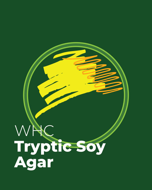 Tryptic Soy Broth