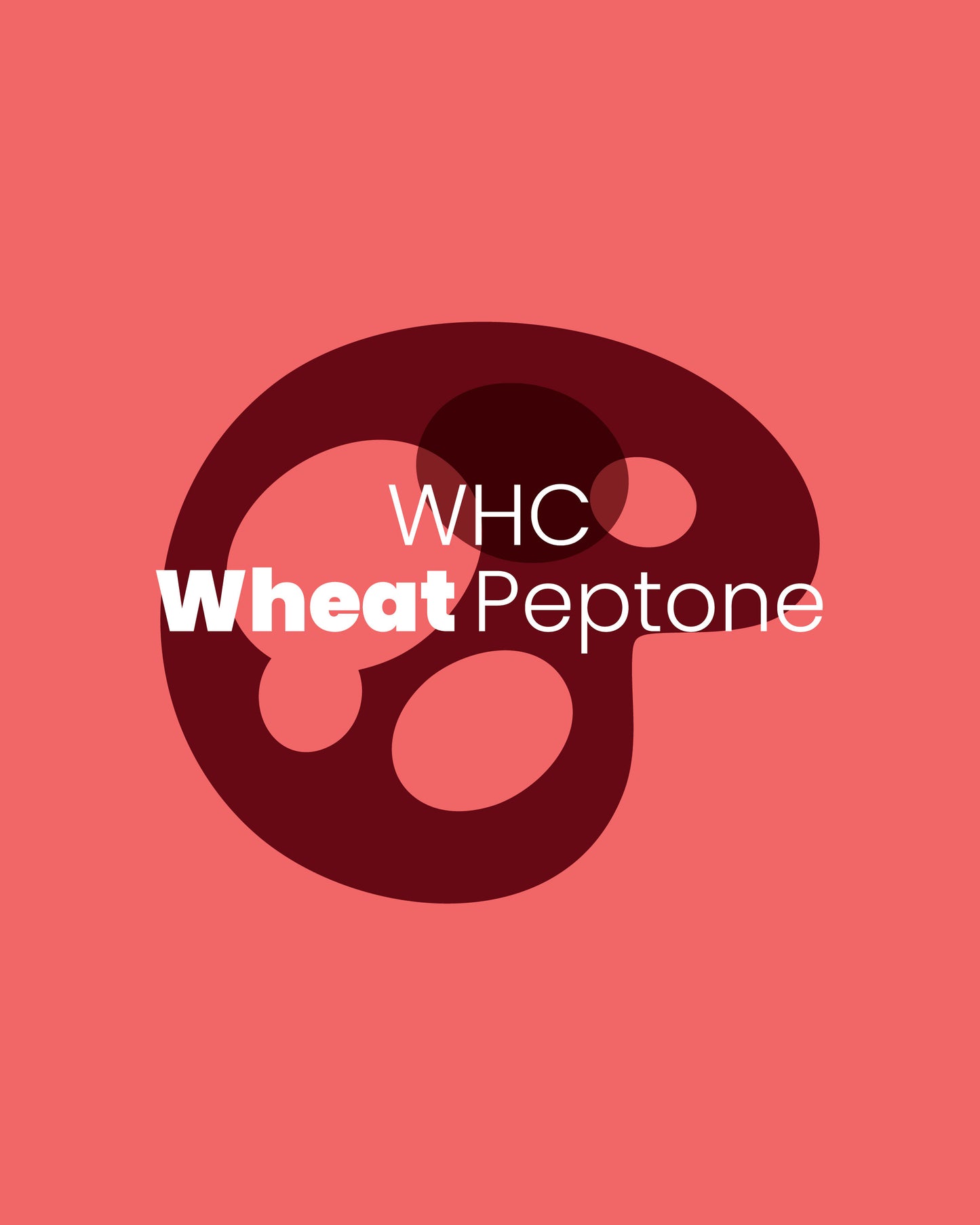 Wheat Peptone