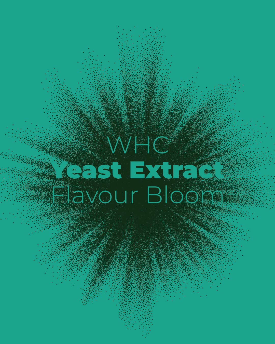 Yeast Extract: Flavour Bloom