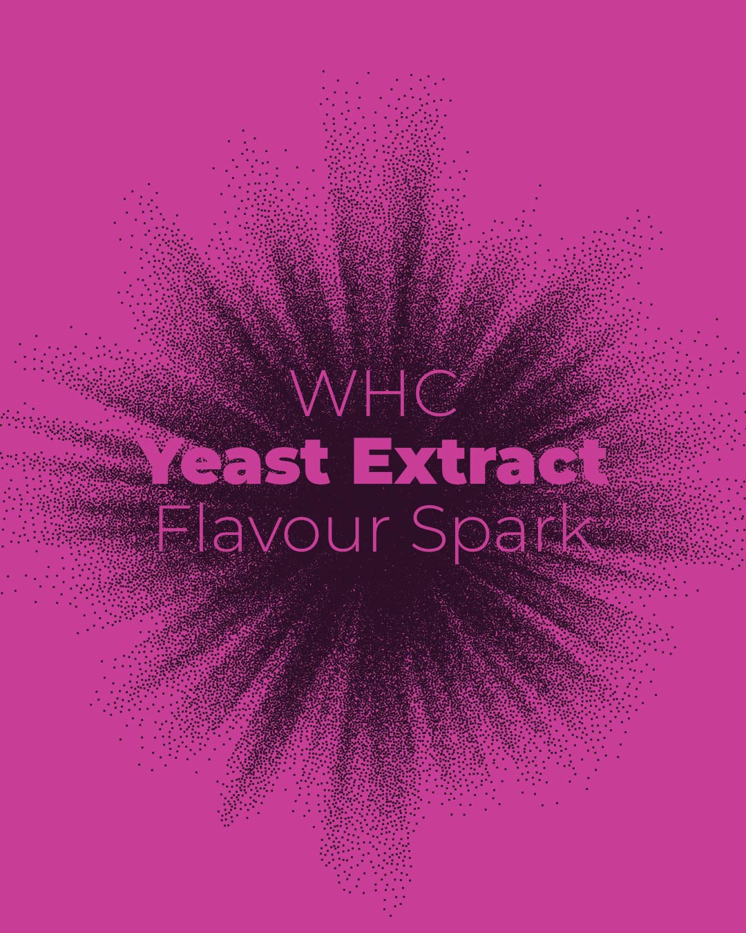 Yeast Extract: Flavour Spark