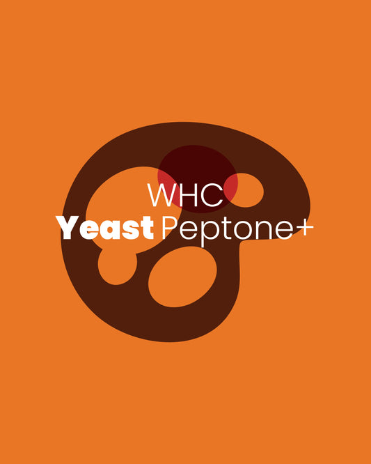 Yeast Peptone +