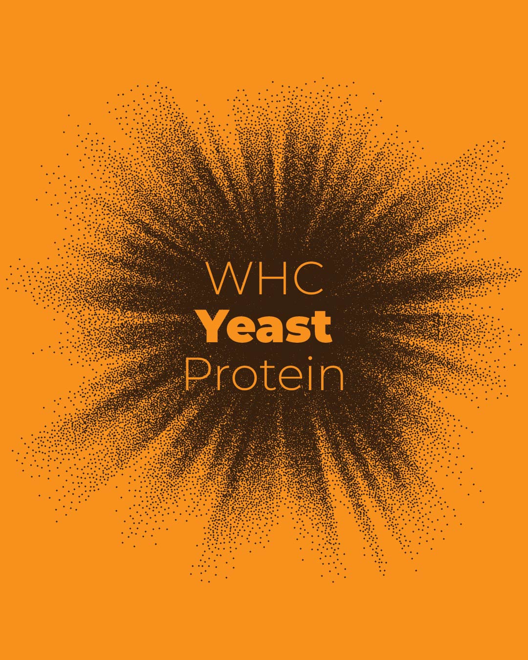 Yeast Protein